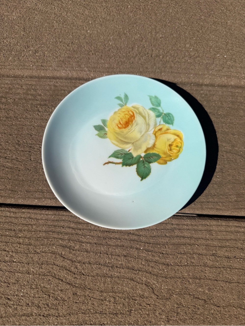 Z.S. & Co Bavaria Decorative Plate Yellow Rose Floral Sky Blue Rim Vintage